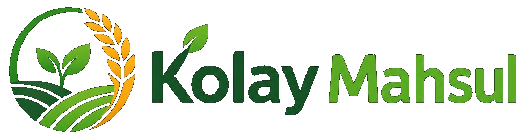 Kolay Mahsül